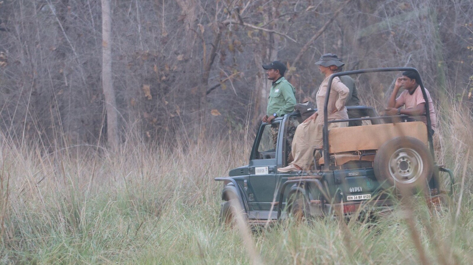 Visitors in an open safari jeep in grassland forest