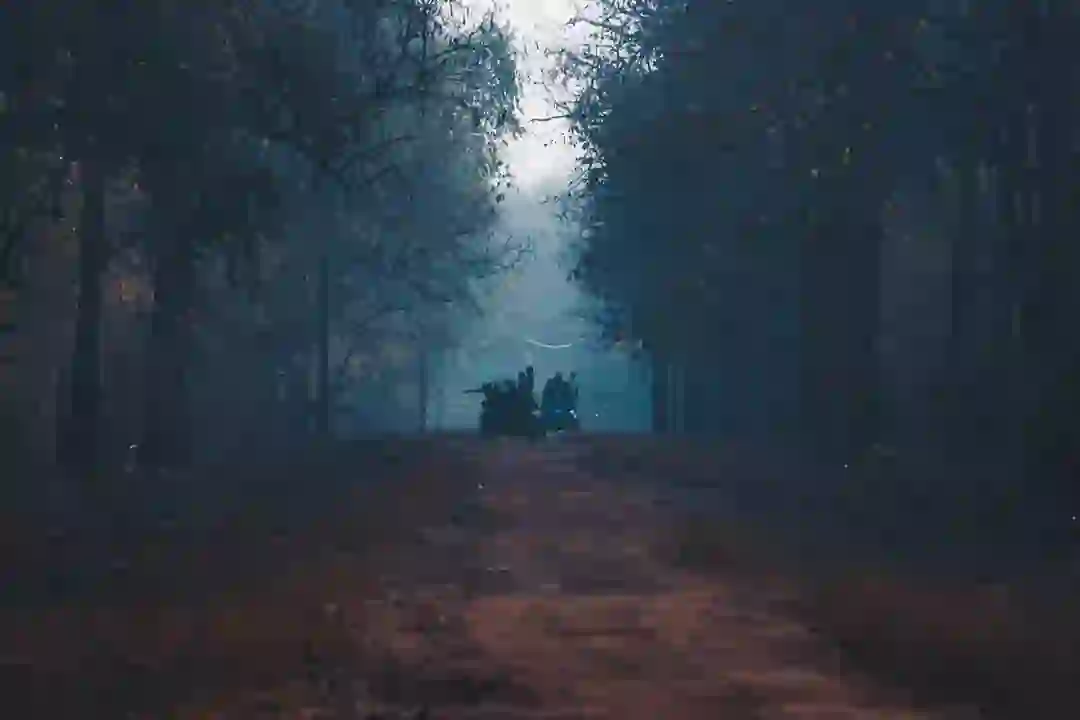 A misty forest road with a vehicle in the distance
